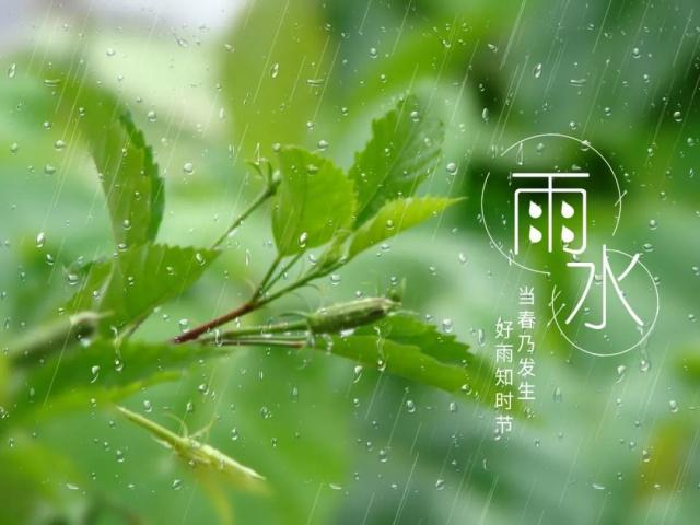 一節(jié)氣一文物之雨水